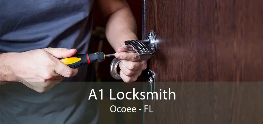 A1 Locksmith Ocoee - FL