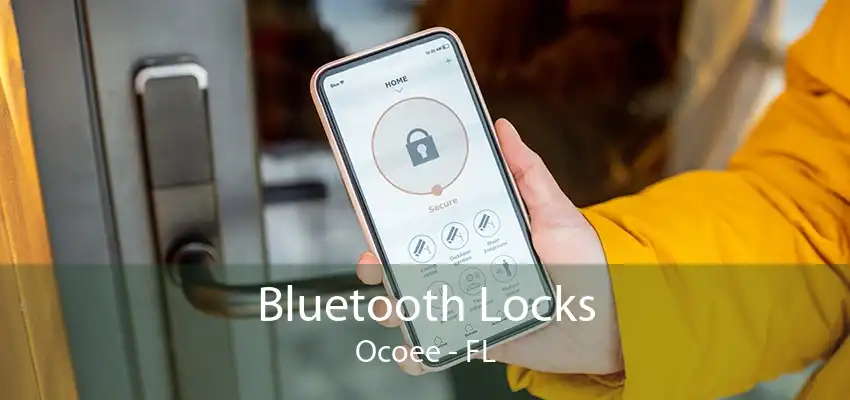 Bluetooth Locks Ocoee - FL