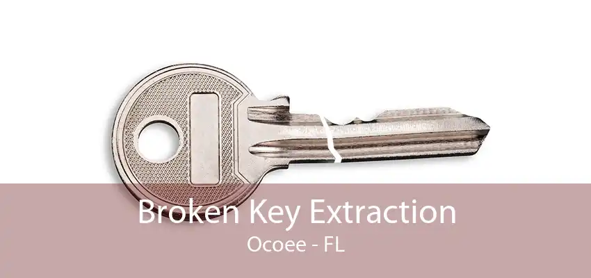 Broken Key Extraction Ocoee - FL