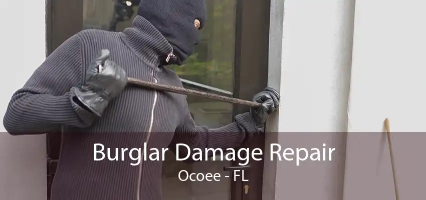 Burglar Damage Repair Ocoee - FL