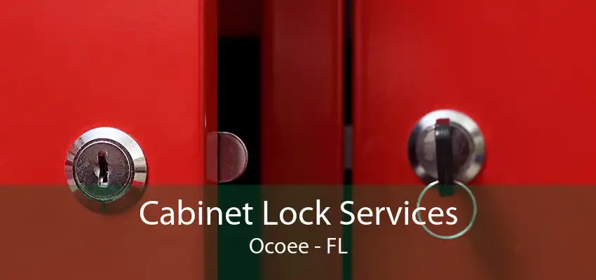 Cabinet Lock Services Ocoee - FL