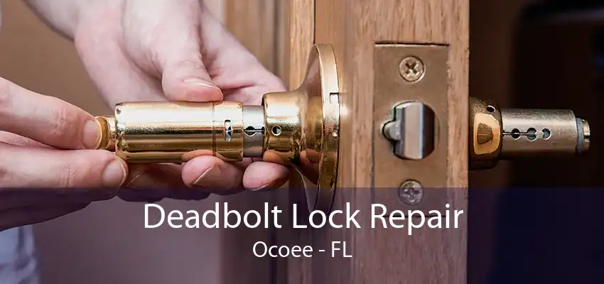 Deadbolt Lock Repair Ocoee - FL