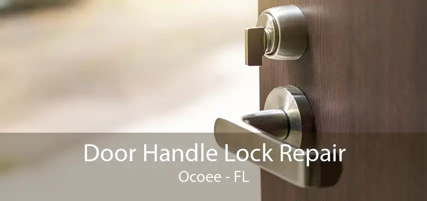 Door Handle Lock Repair Ocoee - FL