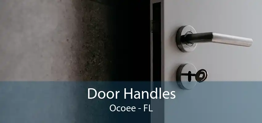 Door Handles Ocoee - FL