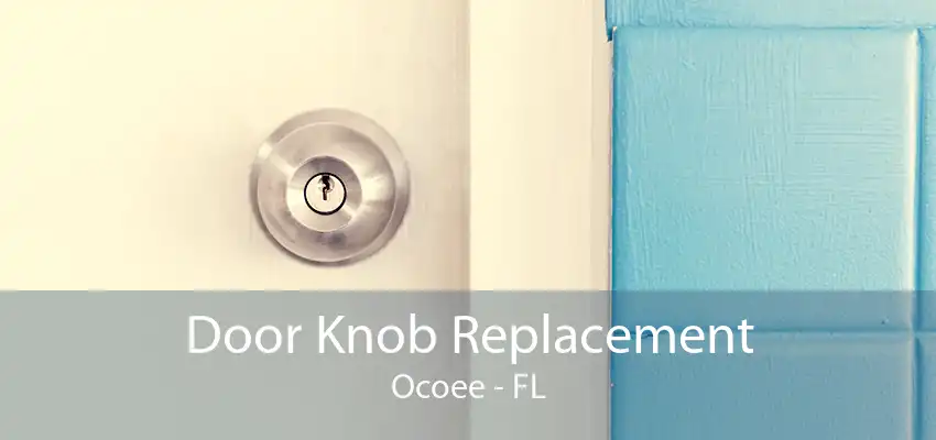 Door Knob Replacement Ocoee - FL