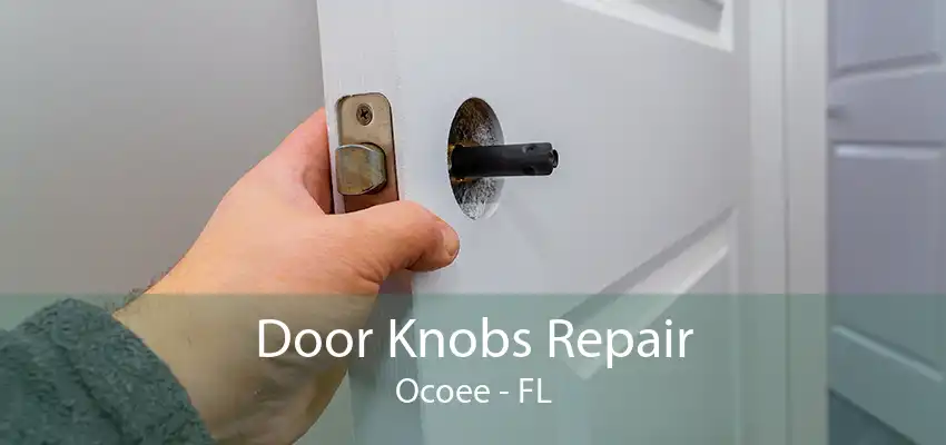 Door Knobs Repair Ocoee - FL