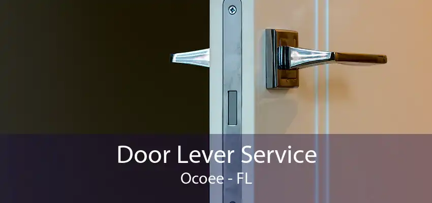 Door Lever Service Ocoee - FL