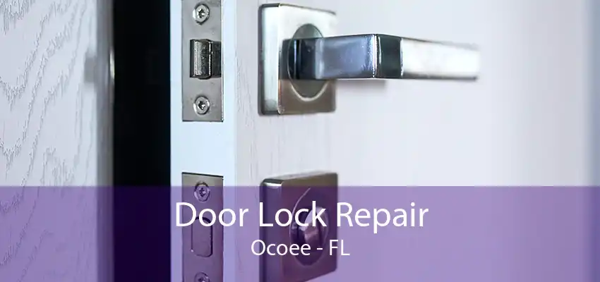 Door Lock Repair Ocoee - FL