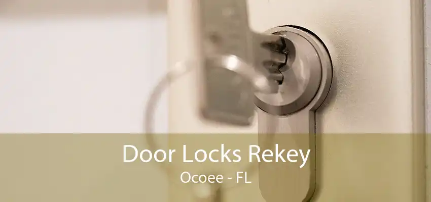 Door Locks Rekey Ocoee - FL