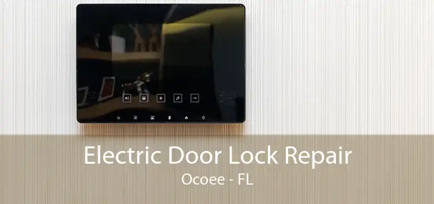 Electric Door Lock Repair Ocoee - FL