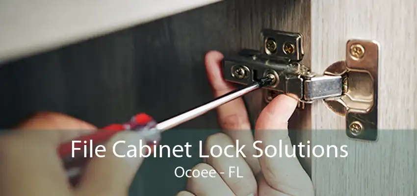 File Cabinet Lock Solutions Ocoee - FL