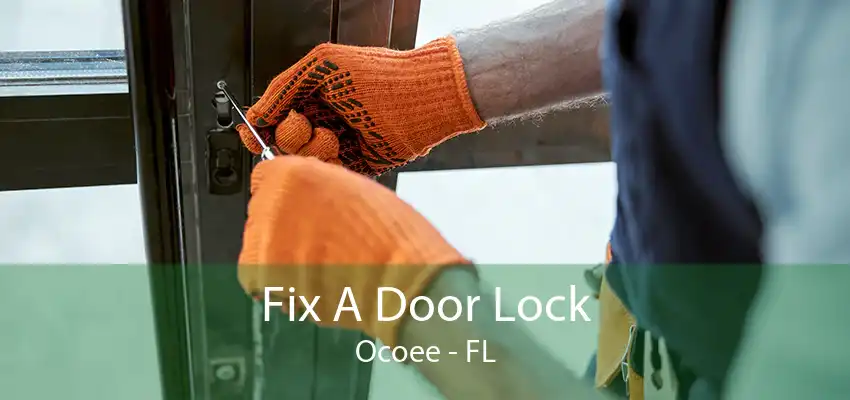 Fix A Door Lock Ocoee - FL