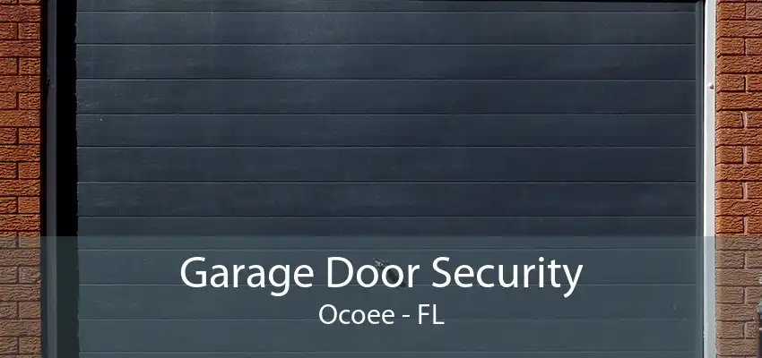 Garage Door Security Ocoee - FL