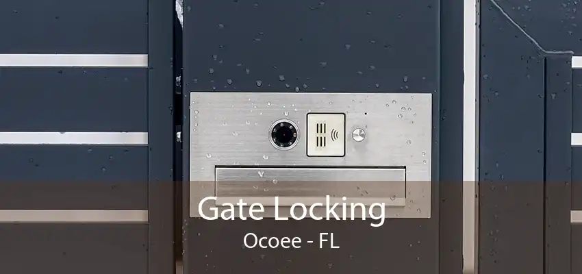 Gate Locking Ocoee - FL