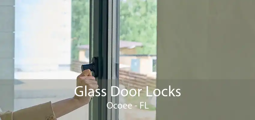 Glass Door Locks Ocoee - FL