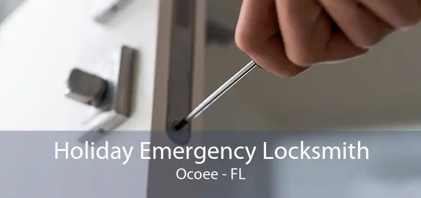 Holiday Emergency Locksmith Ocoee - FL