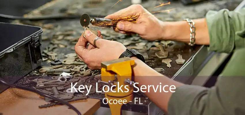 Key Locks Service Ocoee - FL