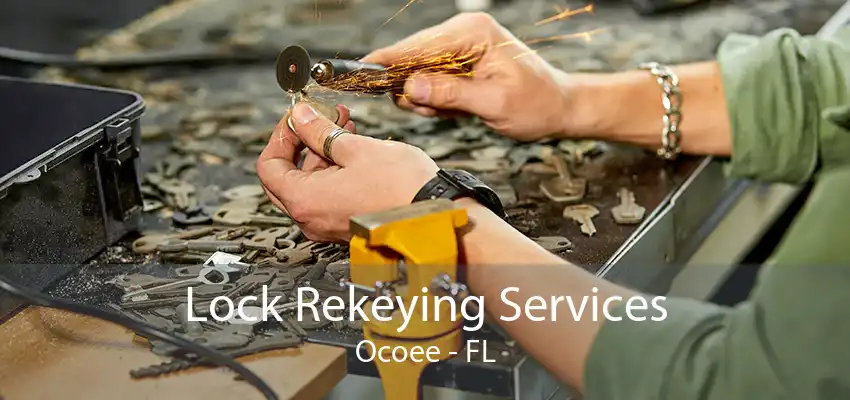 Lock Rekeying Services Ocoee - FL