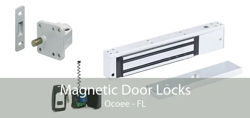 Magnetic Door Locks Ocoee - FL