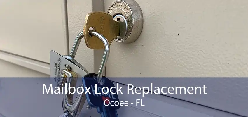 Mailbox Lock Replacement Ocoee - FL