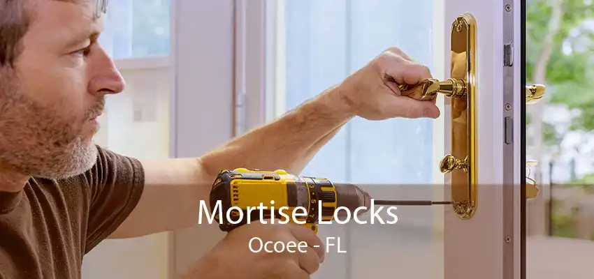 Mortise Locks Ocoee - FL