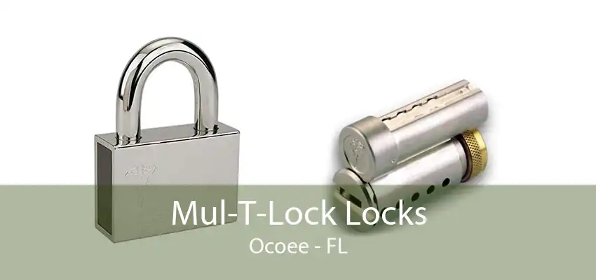 Mul-T-Lock Locks Ocoee - FL