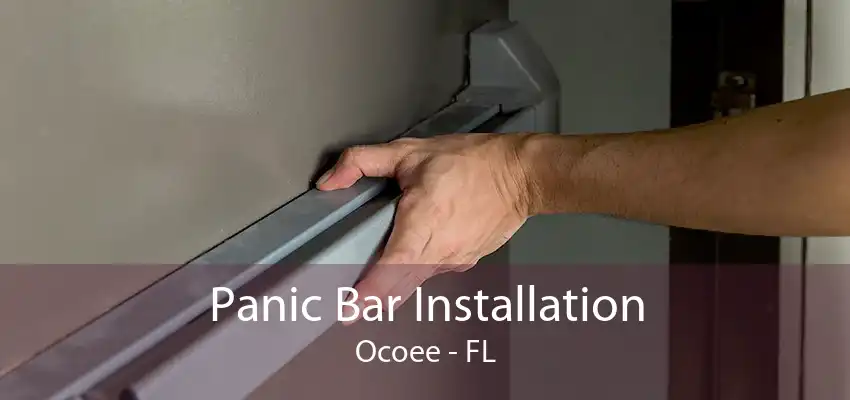 Panic Bar Installation Ocoee - FL