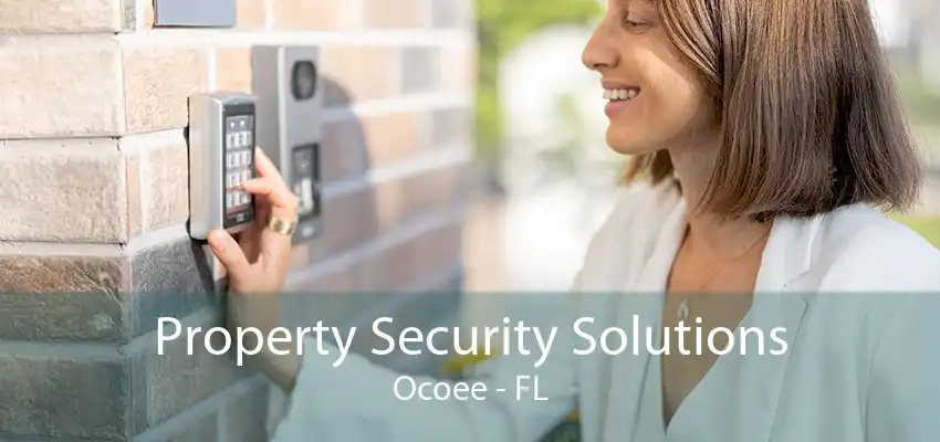 Property Security Solutions Ocoee - FL