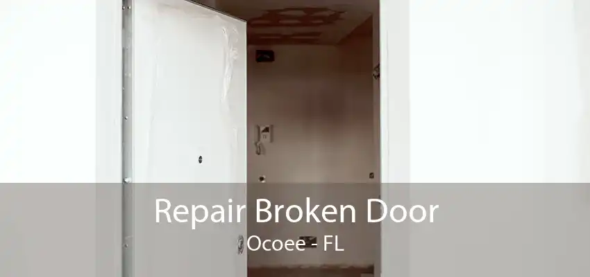 Repair Broken Door Ocoee - FL