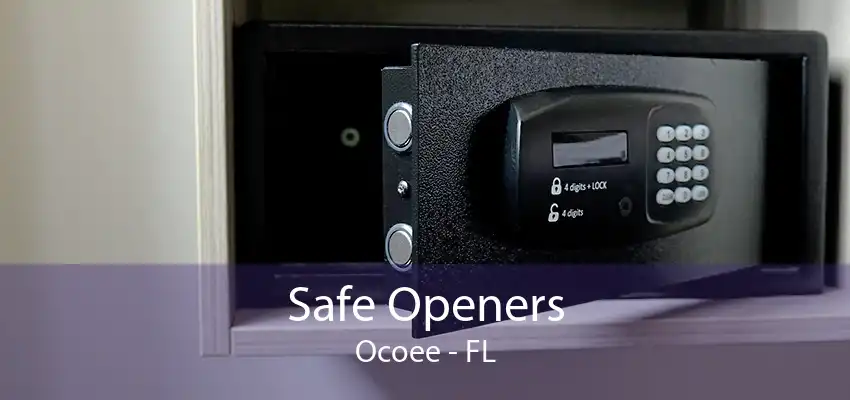 Safe Openers Ocoee - FL