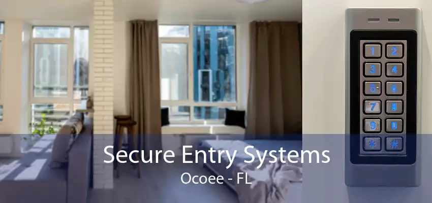 Secure Entry Systems Ocoee - FL