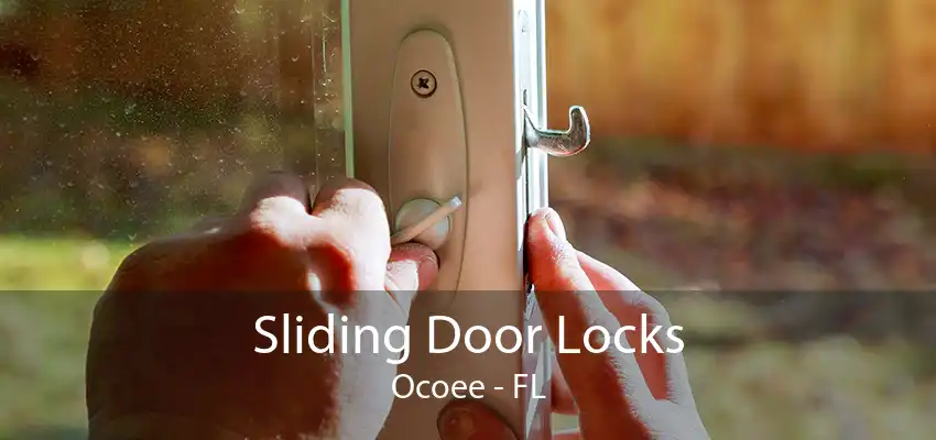 Sliding Door Locks Ocoee - FL