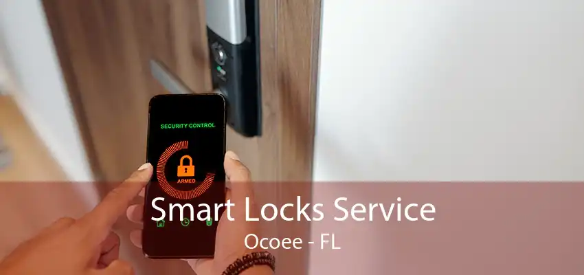 Smart Locks Service Ocoee - FL