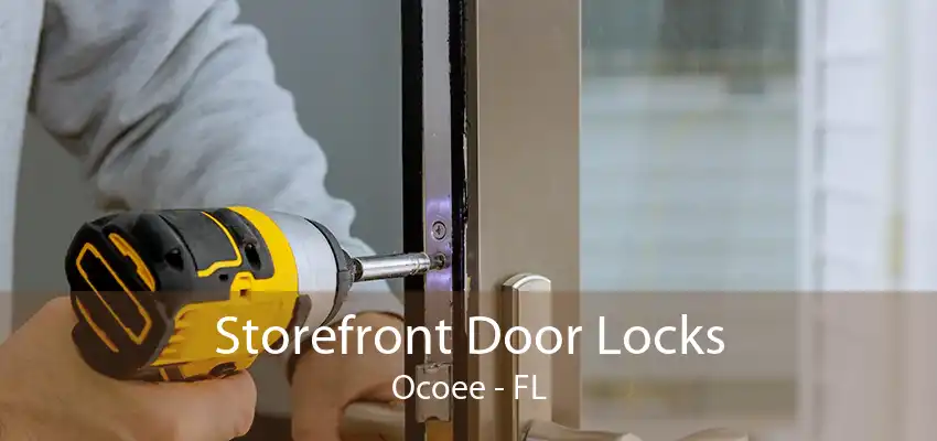 Storefront Door Locks Ocoee - FL