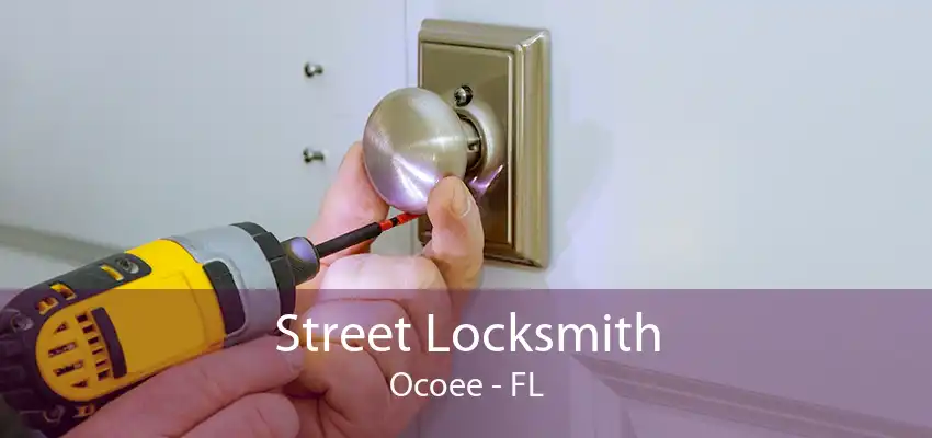 Street Locksmith Ocoee - FL