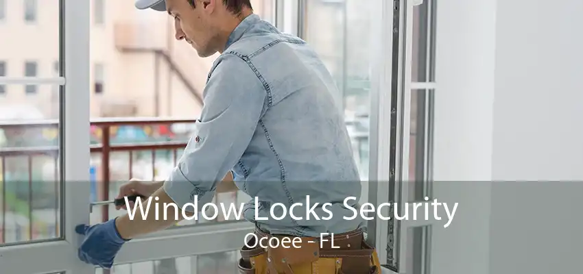 Window Locks Security Ocoee - FL