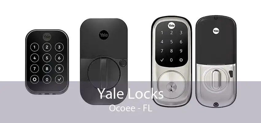 Yale Locks Ocoee - FL